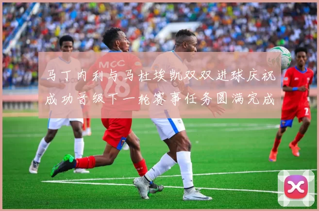 马丁内利与马杜埃凯双双进球庆祝成功晋级下一轮赛事任务圆满完成